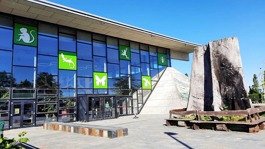 Die Biosphäre in Potsdam - ein magischer Tagungsort
